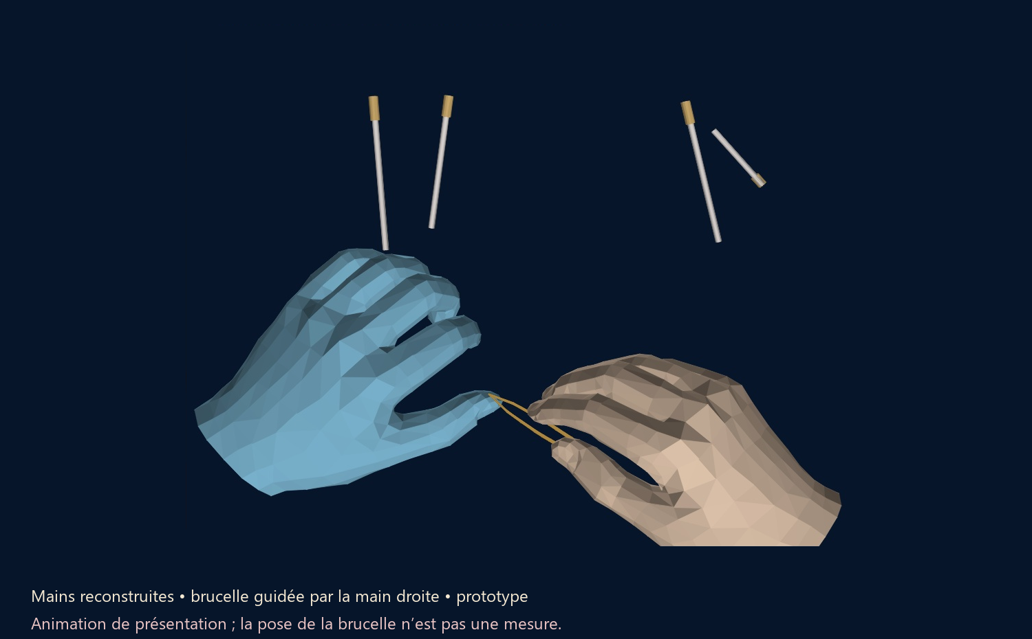 Mains reconstruites et brucelle animée à partir de la main droite d’Eddy, vue du prototype à 29,665 secondes